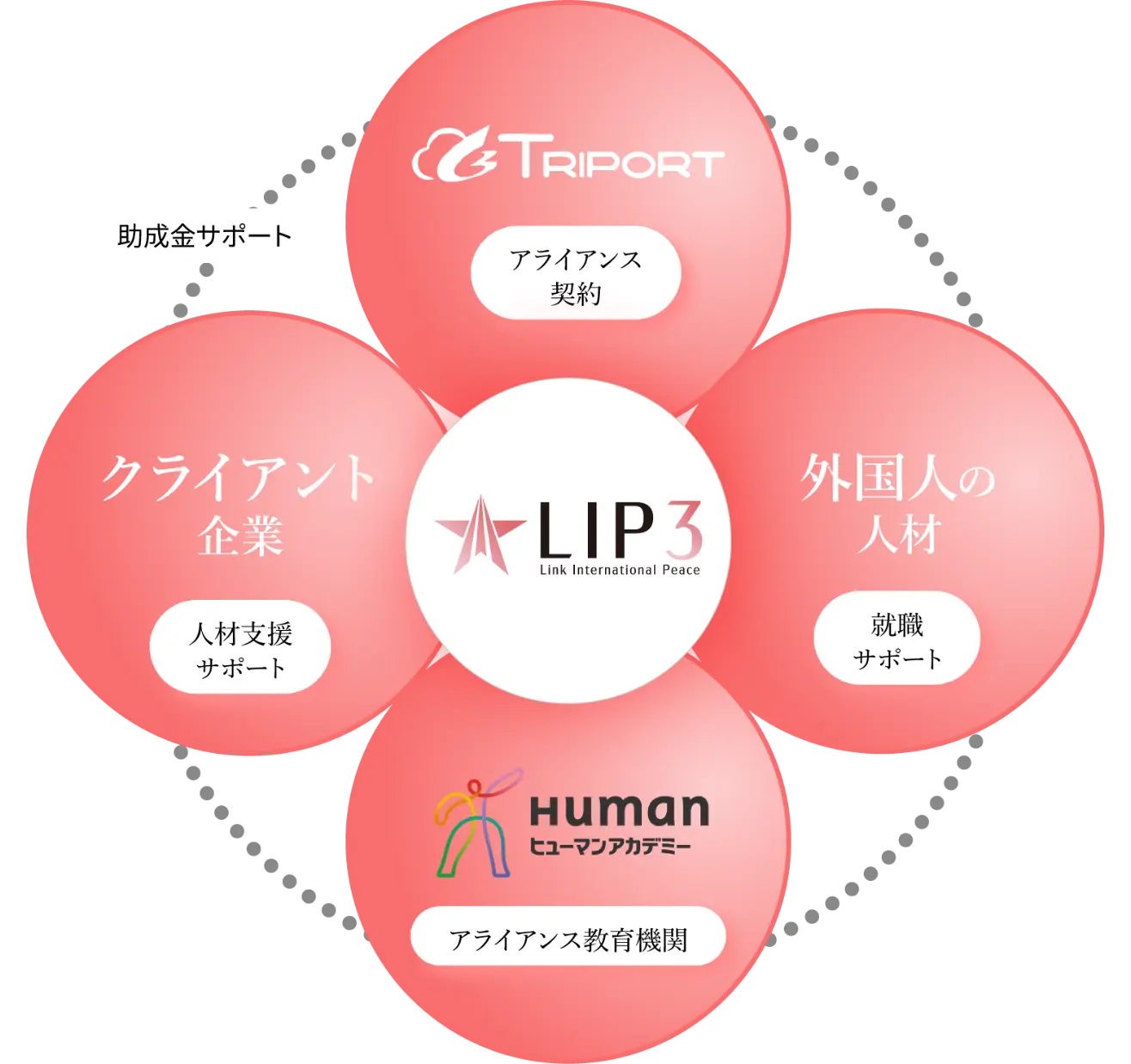 Our Business